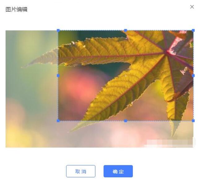 1548665555326707.jpg 封面圖1.jpg