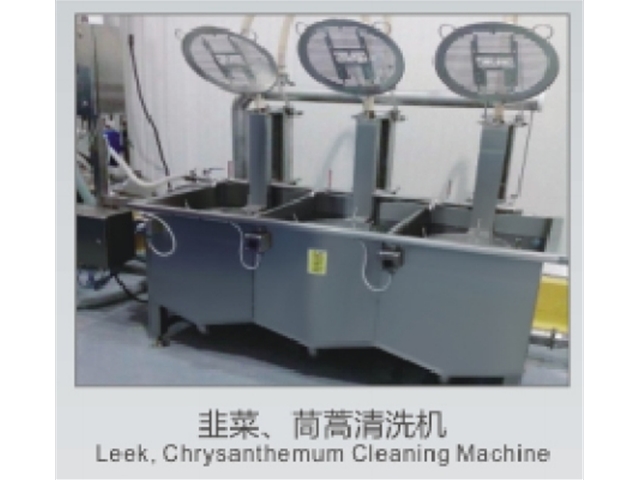 韭菜、茼蒿清洗機(jī)